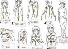 龟甲缚视频,古老束缚艺术的魅力与技巧