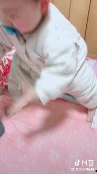 猴子学样表演视频,揭秘动物界的模仿秀高手