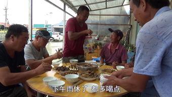 牛二条视频,揭秘生活小妙招，轻松解决日常难题