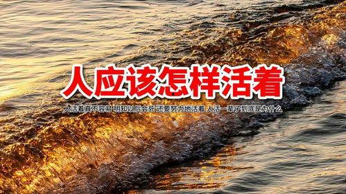 人生感悟视频短片,感悟人生点滴