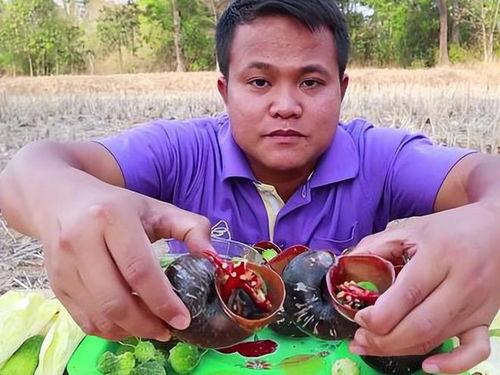 吃福寿螺视频,视频揭秘烹饪技巧与营养价值