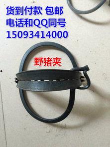 放夹子视频,放夹子视频背后的精彩故事